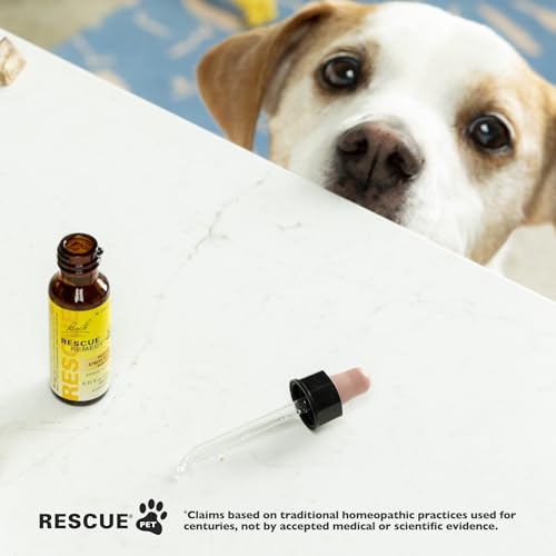 Bach Rescue Remedy PET Pipette 20 ml, natürlicher Stressabbau, beruhigend für Hunde, Katzen und andere Haustiere, homöopathische Blütenessenz, Donner, Feuerwerk & Reisen, Trennung, Sedative-Free