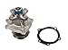 Evergreen TK10428DWP Fits 02-08 Buick Chevrolet GMC Hummer Isuzu Oldsmobile 2.8 2.9 3.5 4.2 DOHC Timing Chain Kit Water Pump (with Gear)