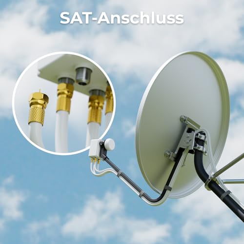 deleyCON HQ 100m SAT Koaxial Kabel 130dB - 4-fach geschirmt für DVB-S - S2 DVB-T und DVB-C - Stahl/Kupfer Innenleiter - 4K 1080p FULL HD HDTV - inkl. 10x vergoldete F-Stecker