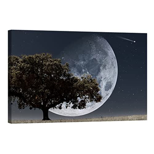 Toile Univers DCC015-2 luminescente dans le noir 80x120