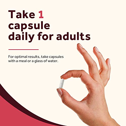 Doctor'S Recipes Iron Supplement For Women Men - Gentle Iron Bisglycinate With Vitamin C thumb #6