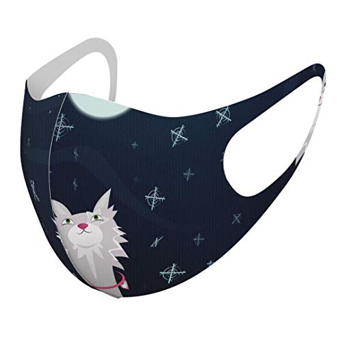 [X}R] fUC }XN QZbg |GXe 􂦂 z}XN XLTCY 傫 jp 001138  IIJ~