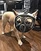 JWPC Bozal Corto para Perro con bozal Ajustable, bozal de Bulldog Transpirable,...