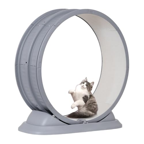 LbgzC[ L񂵎 É&S݌v LbgzC[ a80cm  L ^s L  L ܌@\ SbNt gݗĊȒP tsv ybgzC[ O[