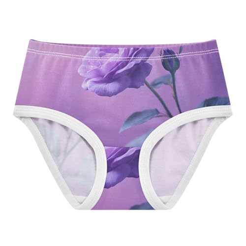 Toddler Underwear Custom 2t Cotton Little Girl Panties Fancy Undies Kids Briefs Purple Rose