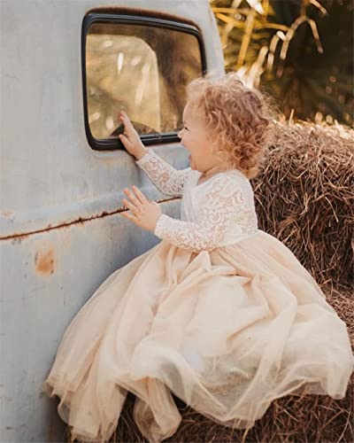 Image of Topmaker Flower Girl Dress for Toddler Baby Girls,Lace Tulle Dress for Wedding,Birthday Party,Photoshoot,Special Occasion
