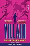 Villain: A Sharp and Hilarious Superhero Sequel Where the Auditor Goes on the Offensive