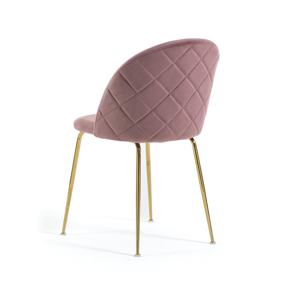 SIEDITI FUORI E DENTRO Set di 2 sedie poltroncine Sara imbottite in velluto o teddy per cucina o sala da pranzo con gambe in metallo (Velluto Rosa Blush, Gambe Oro)