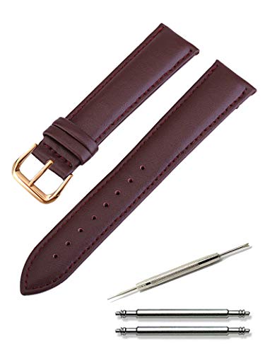 CalmeiJj rv xg {v U[ v oh X[XU[ xg 12o ` 24o t (20o, _[NuE × [YS[h obN)