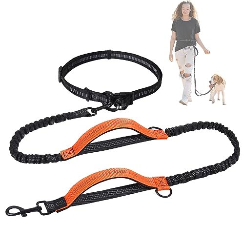 Snocyo Joggingleine Hunde, Jogging Hundeleine für Mittelgroße und Große Hunde, Elastische und Reflektierende Hundeleine, Einziehbare Leine mit Doppelgriff & Taillengürtel