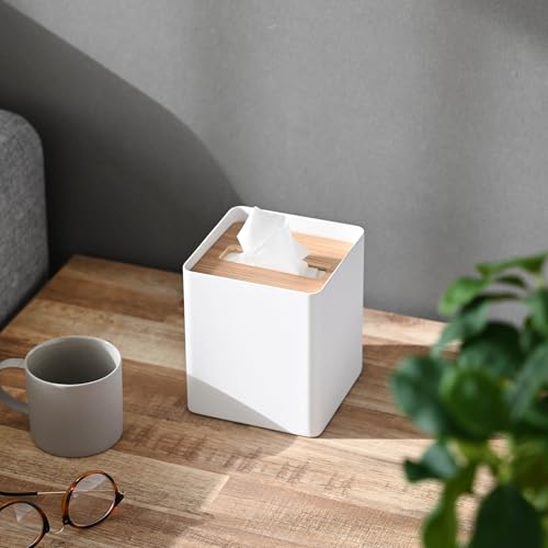 Amazon.com: Yamazaki Home: Tissue Case
