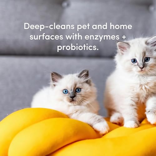Image of Clean Revolution SuperCharged All Purpose Cleaner Refill with Smart Probiotic + Enzyme Complex, Multi-Surface Kitchen Bathroom & Floor Cleaner, Lemon & Herbs, 32 Fl Oz (Pack of 4)