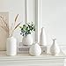 JOJUNO White Bud Vases, Small Ceramic Vase Set of 11, Mini Pottery Vases for Flowers, Decorative Pieces for Home Modern Decor, Boho Decor, Chic Accents for Living Room Dining Table Shelves