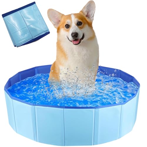 Piscina Plegable para Perros,Piscina para Mascotas Perros,Piscinas Plegable Gato,Portátil Pequeños Bañeras de PVC para Perros y Gatos para Bañarse y Jugar(60 x 20 cm)
