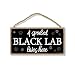 A Spoiled Black Lab Lives Here - 5 x 10 inch Hanging Black Lab Decor, Wall Art, Decorative Wood Sign Home Decor, Black Lab Gifts