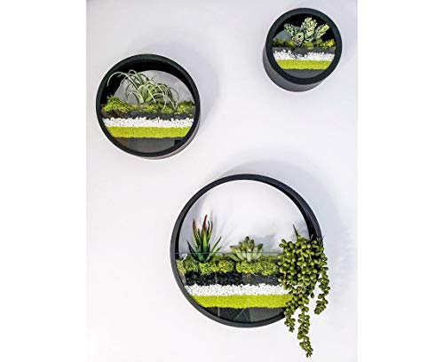 Pflanzen Vertikal - Die momentanen TOP Modelle im Detail