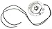 GG Grand General 92499 Light Bulb Holder for 3.5 Inches Glass Light, 2 Wires