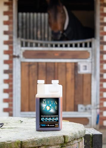NAF Five Star Metazone Liquid 1L, Natural Anti-Inflammatory Support for Horses, With Turmeric, MSM & Herbal Extracts - Image 2