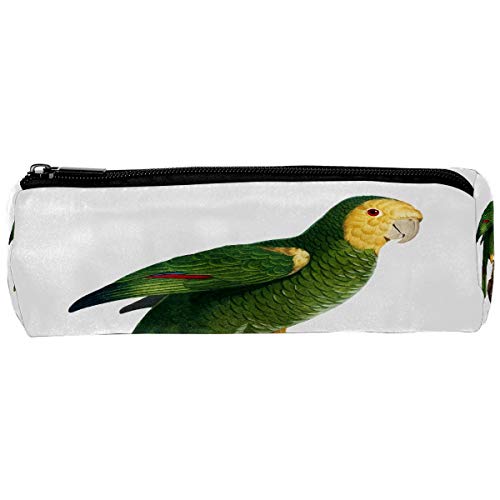 Preisvergleich Produktbild Federmäppchen, rund, Stifthalter, Aufbewahrungstasche, Schreibwaren-Tasche, kreatives Make-up-Tasche, Geschenk, Student Supplies für Schule, Arbeit, Büro, Grüner Papagei