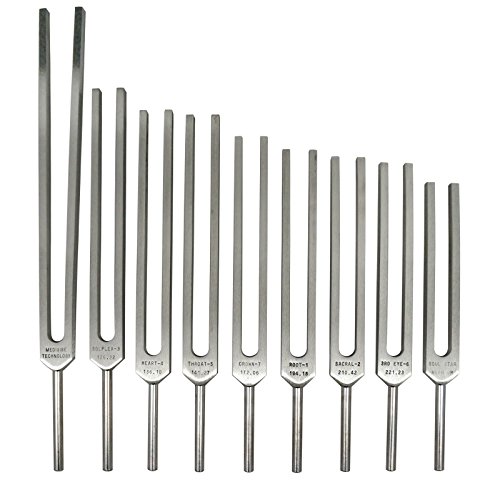 Chakra Tuning Forks Set Of 9 Standard #TOP2