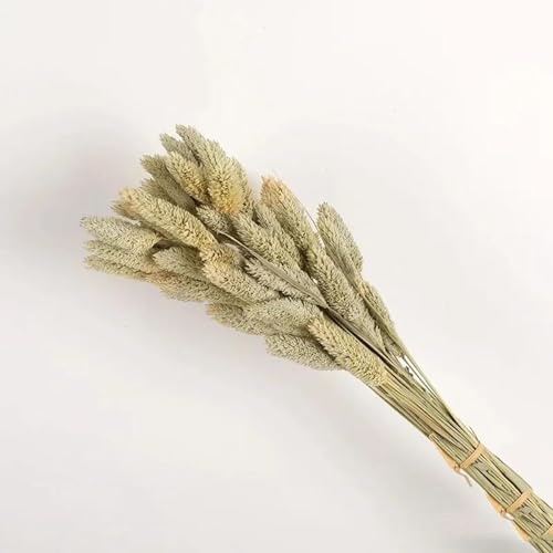 Ramo de flores secas 50 piezas beige para decoración miniatura 5