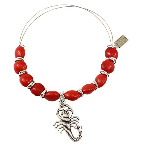Image of EVELYN BROOKS Adjustable Bangle Bracelet (Multiple Charm Styles) for Women-w /Meaningful Good Luck Seed Beads - Handmade Jewelry | Great Gifts for Teen Girl Gifts & Great Addition to Girls Jewelry