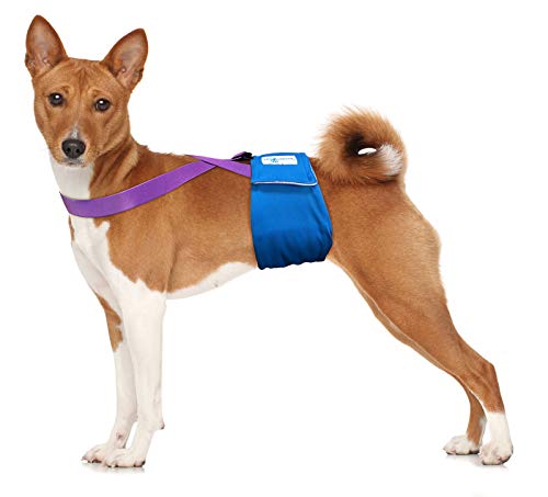 Image of PAW Inspired Dog Diaper Suspenders, Purple, Small /Medium