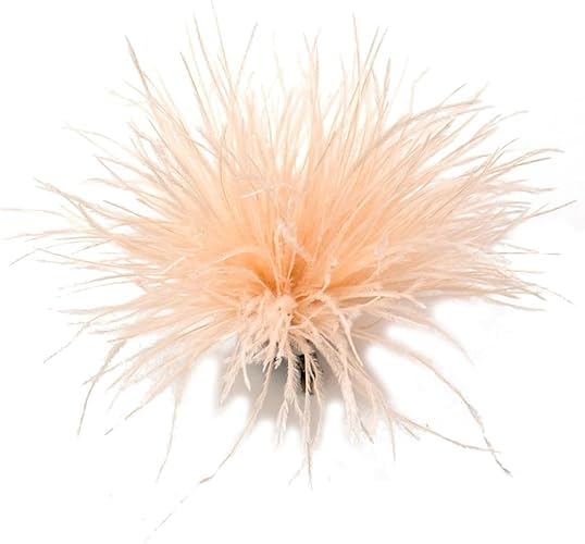 Image of Champagne Feather Brooch Feathers Corsages for Party Wedding Dress Decorations Ostrich Feather Hair Clip Lapel Pins Headwear Hairpin Hairband for Women Girl