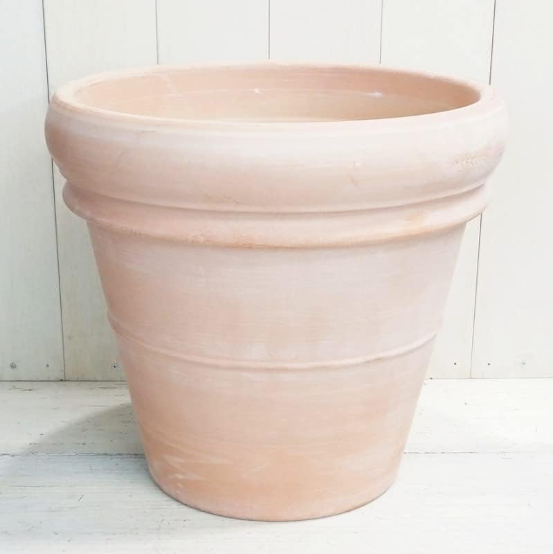 Toky限定 Gravitypot 植物 鉢 agave アガベ 中村拓哉氏 Toky限定