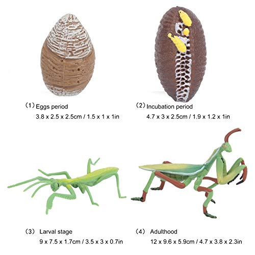 Brinquedos de cognição, brinquedo de ciclo de crescimento de imaginação de criatividade para meninos