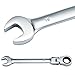 12 Pcs 8mm-19mm Flex-Head Ratcheting Wrench Tool Set Combination Spanners Flexible Amazing Tour