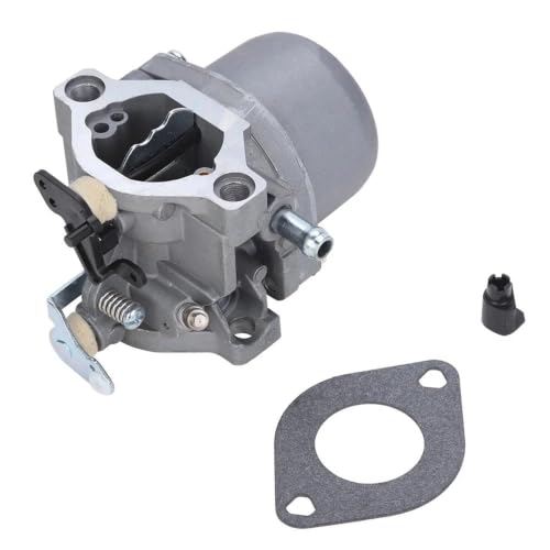 Carburateur 289707 pour moteur Briggs Stratton 285707 28B705 et 28M707