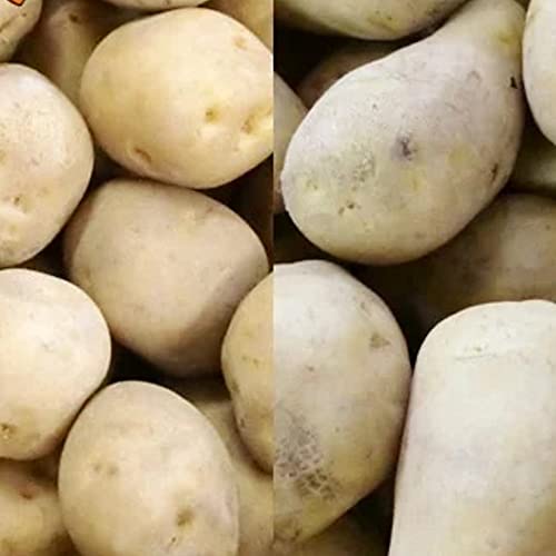  ؃Zbg  10kg kC [NC 10kg v 20kg LTCY kC Ⴊ k/L^AJ [NC  Zbg