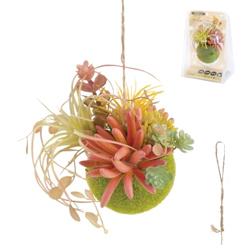 tFCNO[ ~j ݂艺 L A ۋ C CTG} {[ GNA STCY F^Cv