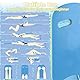 Schwimmbrett Kinder,Schwimmbrett Kickboard,Schwimmbrett Erwachsene, Schaum Schwimmbrett,Swimming Board,Children’s Swimming Aid,Swimming Kickboard,Schwimmhilfe Kinder für Schwimmübungen (Blue)