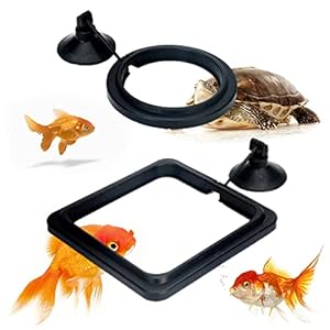 2 Stück XPOOP Fischfutterring, Futterring Aquarium, Fisch Futterring Teich, Aquarium Feeding Station, Futterring mit Saugnapf für Guppy, Bettas, Goldfisch, Schildkröte (Schwarz)