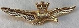  DISTINTIVO DORATO AERONAUTICA MILITARE DA CAMICIA ESTIVA \