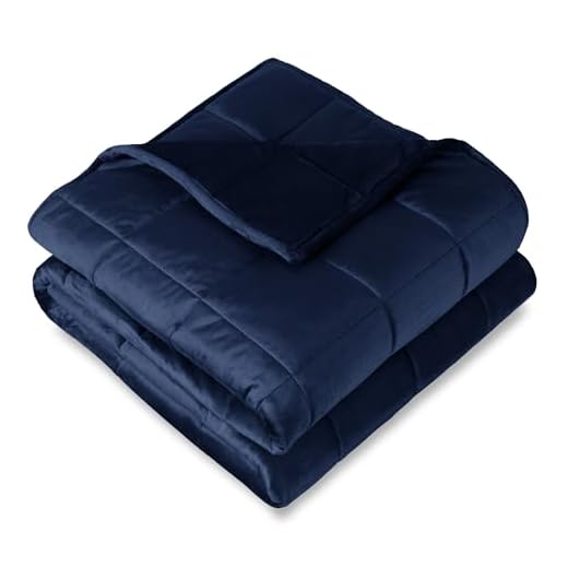 Bare Home Minky Weighted Blanket 12lb