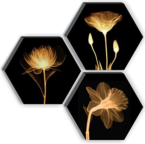 SAF UV Textured Flower Designer 6MM MDF Hexagon Set of 3 Digital Reprint Painting (21 inches X 21 inches) SANFHX15