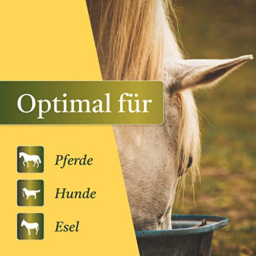 Martenbrown® Reiskeimöl 5 Liter für Pferde, Hunde und Esel I Im praktischen Kanister | Nahrungsergänzung für Trockenfutter, Dosenfutter oder als Barf-Öl