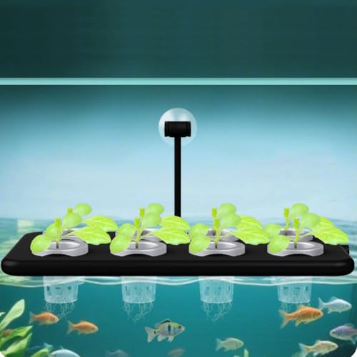 Cesto galleggiante per piante acquatiche con forti ventose e design multi foro per migliorare l'abbellimento dell'acquario e supporto per piante sommerse