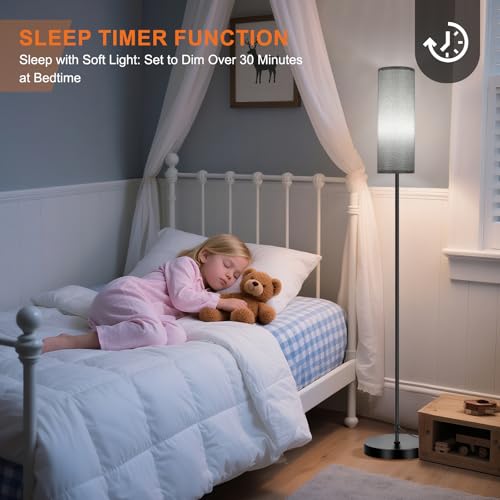 Image of FRIDEKO HOME Gray Floor Lamps for Bedroom, Dimmable Colors Temperature & Brightness, Plug in Modern Floor Lamps for Living Room, Tall Standing Lamps for Office, Corner Lamp, 9W RGB LED Bulb