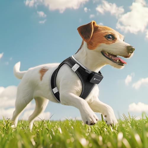 PcEoTllar Hundegeschirr Leuchtend, Leuchtgeschirr LED Aufladbar Reflektierendes, Beleuchtetes Leuchtgeschirr für Welpe Klein Mittlere Hund, Atmungsaktiv Leucht Geschirr, Schwarz(9 Modi), S