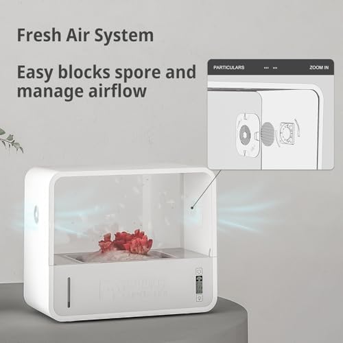 Tente de culture champignon avec éclairage LED automatique, contrôle de l'humidité et de la température, système de boîte à air fixe pour culture intérieure sans sol