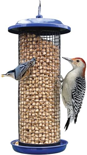 Peanut Bird Feeder Squirrel Proof - What You Didn't Know About Them 7 Nature
