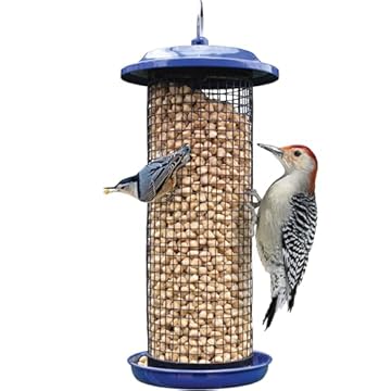 bird feeder for suet pellets that will change your feeding game 1 bird feeder for suet pellets