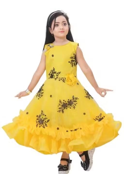Image of Elegant Petal Flair Embroidered Party Frock for Girls