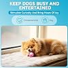Squeaky Dog Toys Soft Latex Rubber Squeaky Dog Balls for Puppy Small Pet Dogs (8 Pack) (Round Balls)