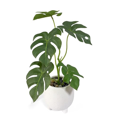 WillingYou フェイクグリーン モンステラ 一体型 人工 観葉植物 陶器鉢付き 高さ40cm 届いてすぐ飾れる おしゃれ インテリアグリーン 水やり不要 ギフトにも
