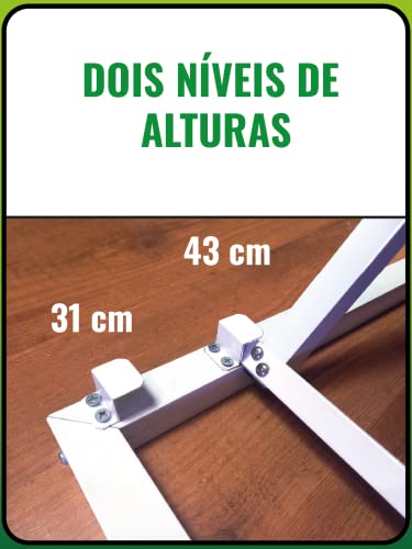 Rampa para Pets com Piso de Borracha Antiderrapante